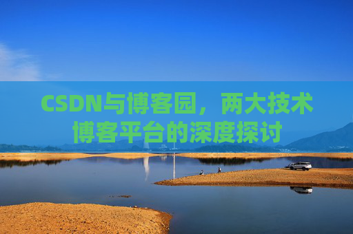 CSDN与博客园，两大技术博客平台的深度探讨